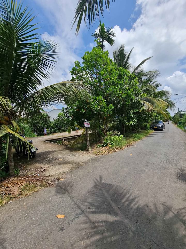 Đất nền mặt tiền nhựa Mỹ Phong 95m² giá thỏa thuận - Vị trí đắc địa gần chợ và trường học!