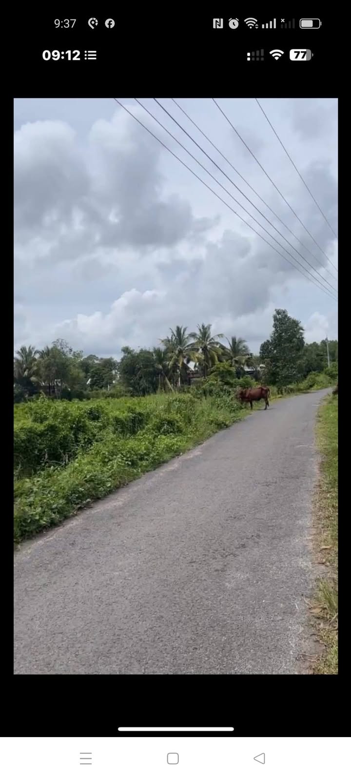 Đất thổ cư Hảo Đước Châu Thành 7161.91m² giá 5.085 tỷ - Đường nhựa, gần trường học!