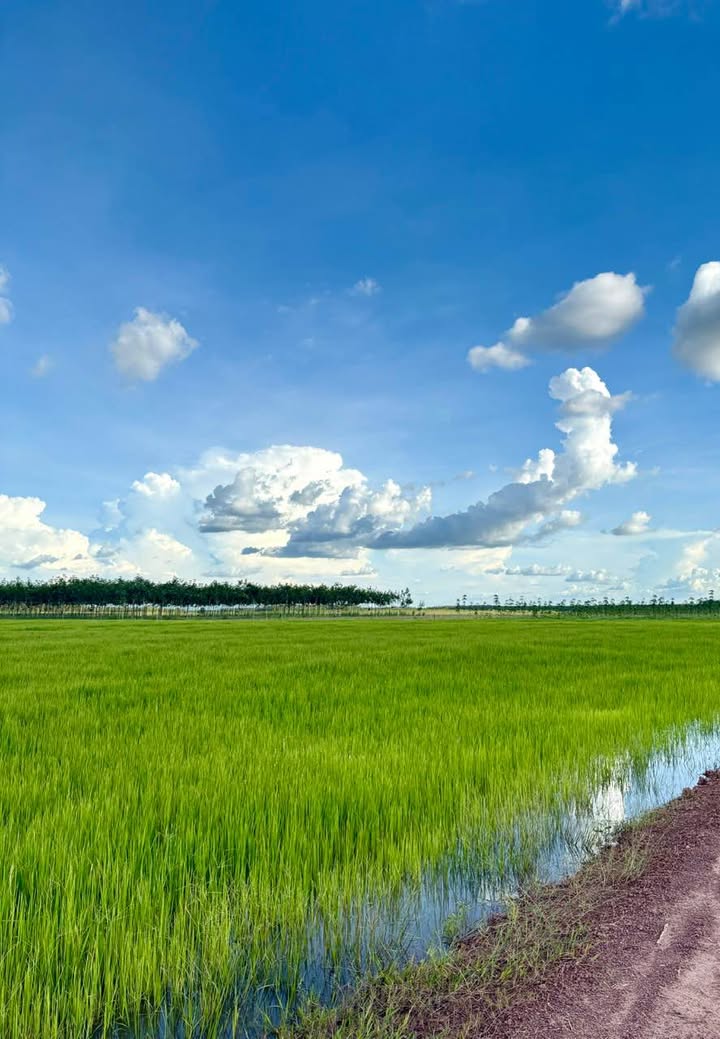 Đất nền Tân Hiệp - Tân Châu 150m² chỉ 210 triệu - Cơ hội đầu tư tuyệt vời!