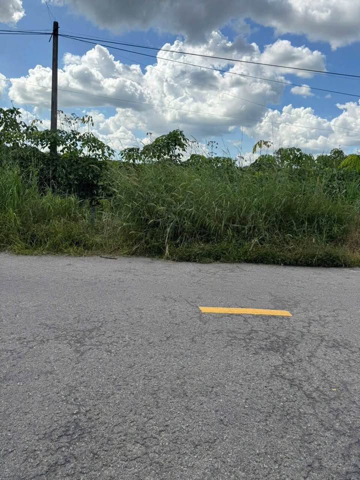 Đất nền 400m² mặt tiền đường Trường Xuân, Hòa Thành, Tây Ninh - Giá chỉ 1.062 tỷ!