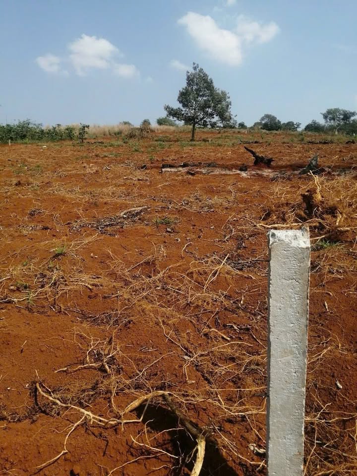 Đất thổ cư Tân Tiến Gia Nghĩa 7600m² giá 6 tỷ - Mặt tiền đường nhựa rộng rãi!