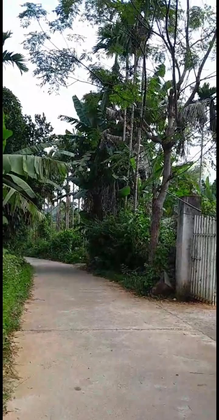 Đất nền Minh Bảo - Yên Bái 400m² giá 1 tỷ - Ô tô đỗ cửa thuận tiện!