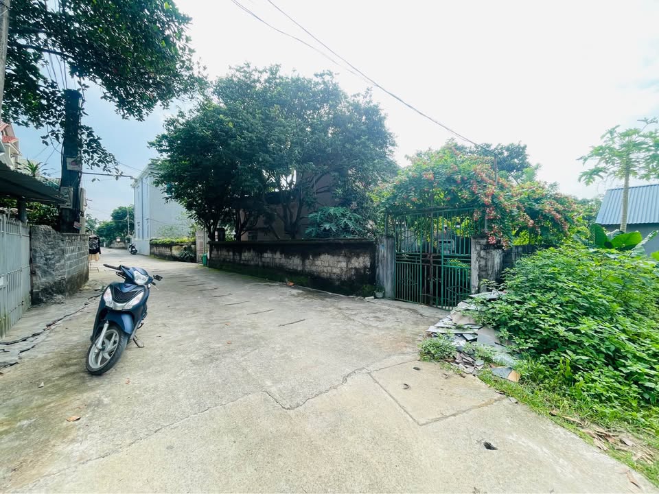 Đất nền Lương Sơn Hòa Bình 102m² giá 1 tỷ - Cơ hội đầu tư hấp dẫn!