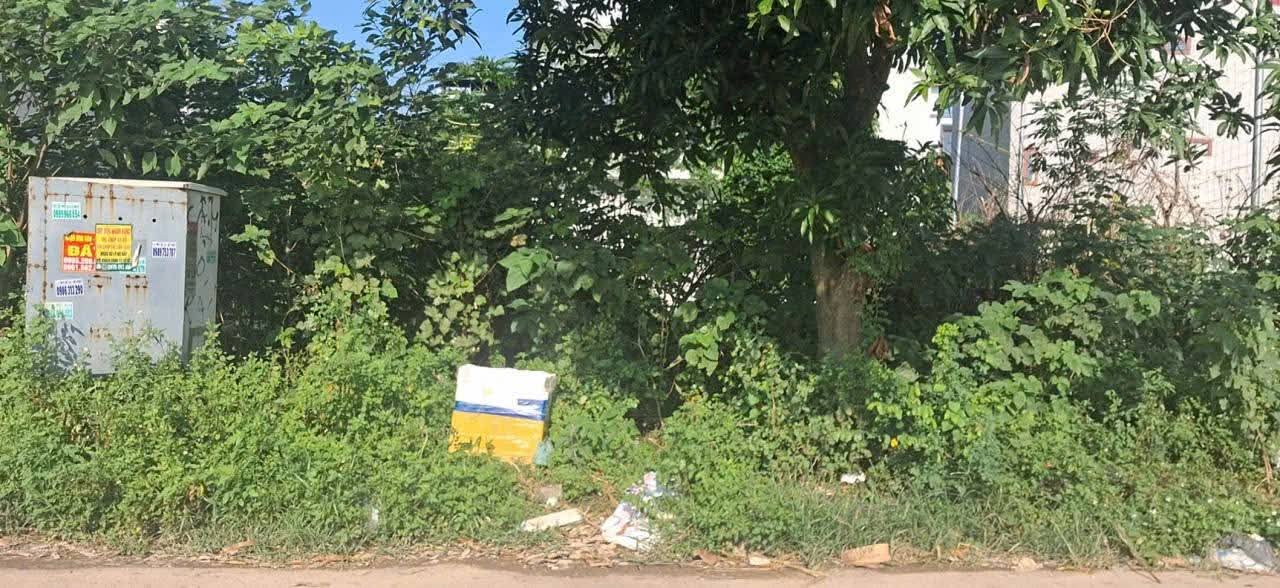 Đất nền Phúc Thành, TX Mỹ Hào, 73m² - Giá tốt cho đầu tư kinh doanh!