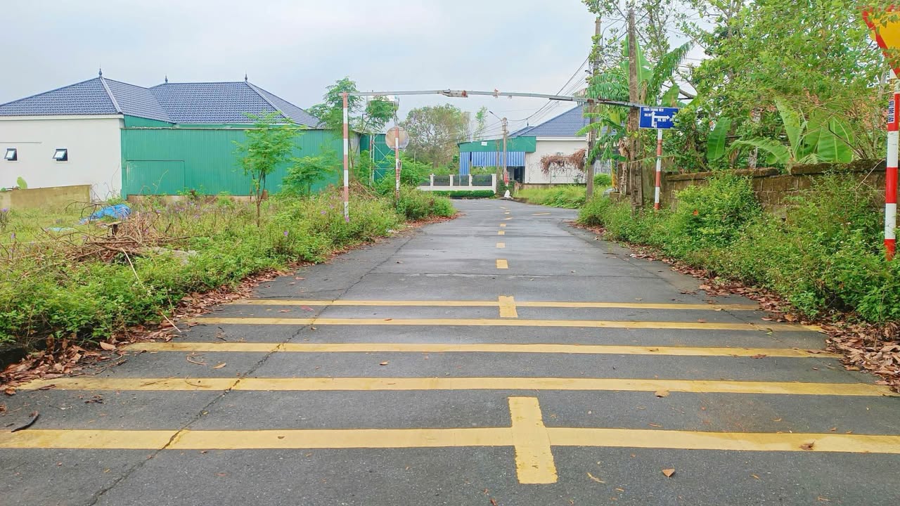 Đất nền Thôn Nam Sơn - Ngọc Sơn 181m² giá 700 triệu - Khu dân cư sầm uất!