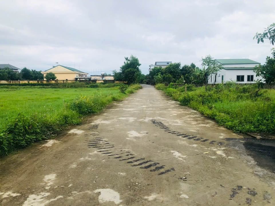 Đất nền quy hoạch Tân Lộc, Thạch Hạ 144m² giá 2.1 tỷ - Cơ hội đầu tư tuyệt vời!