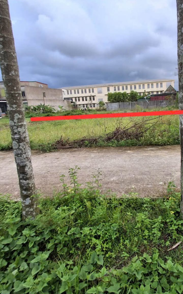 Đất nền Thạch Hưng 135m² giá 2 tỷ - Đầu tư tiềm năng tại khu vực phát triển!