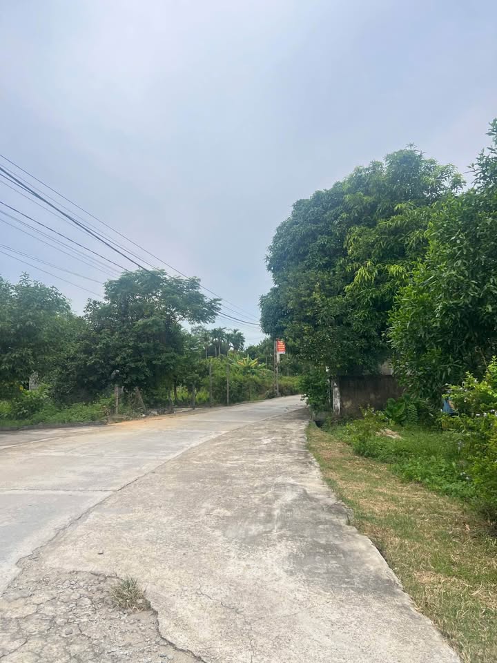 Đất nền Thôn Tân Hoà, xã Tân Lâm Hương 162m² giá 1.6 tỷ - Đường 8m rộng rãi!