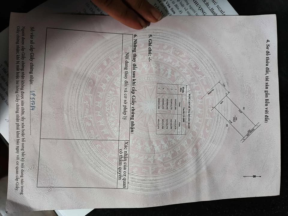 Đất nền Cẩm Bình, Cẩm Xuyên 250m² giá chỉ 2 tỷ - Nằm gần Quốc lộ 1A!