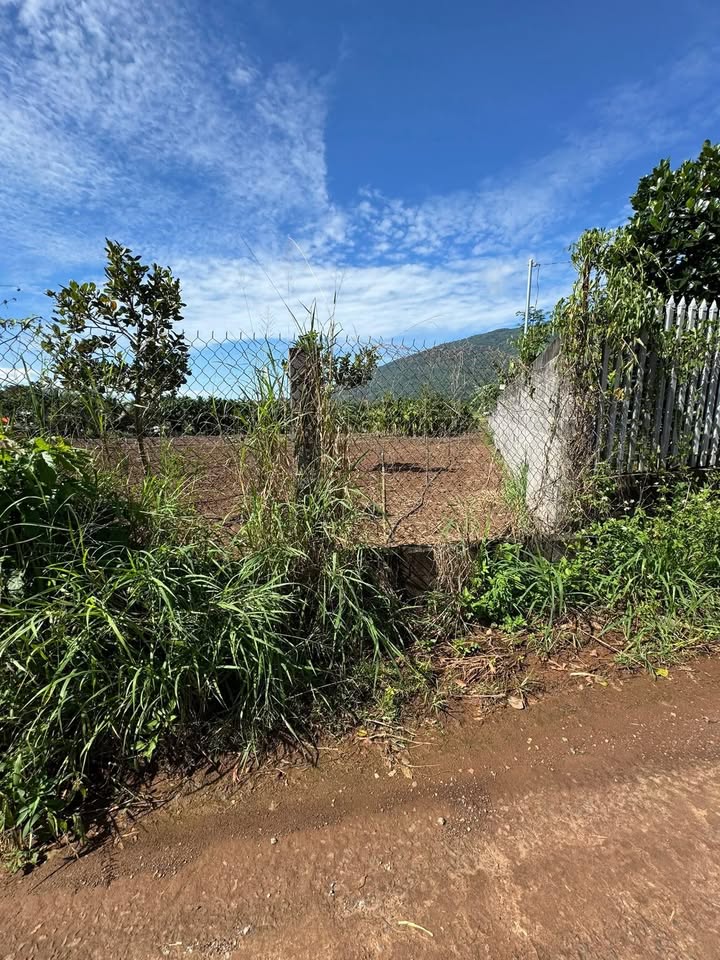 Đất nền Bàu Giá Ló Long Khánh 360m² giá 600 triệu - Sổ đỏ chính chủ, đầu tư sinh lời!