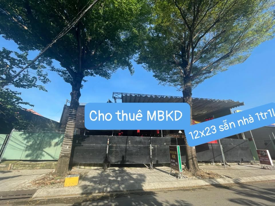 Mặt bằng kinh doanh cho thuê tại đường Bình Thọ, Thủ Đức 300m² - Vị trí đắc địa, giá tốt!