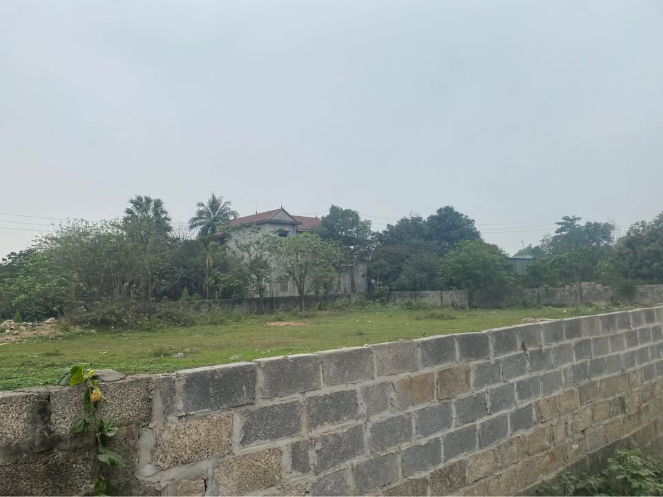 Đất thổ cư 460m² tại phường Chùa Hang, Thái Nguyên - Giá 3 tỷ, thích hợp xây nhà vườn!