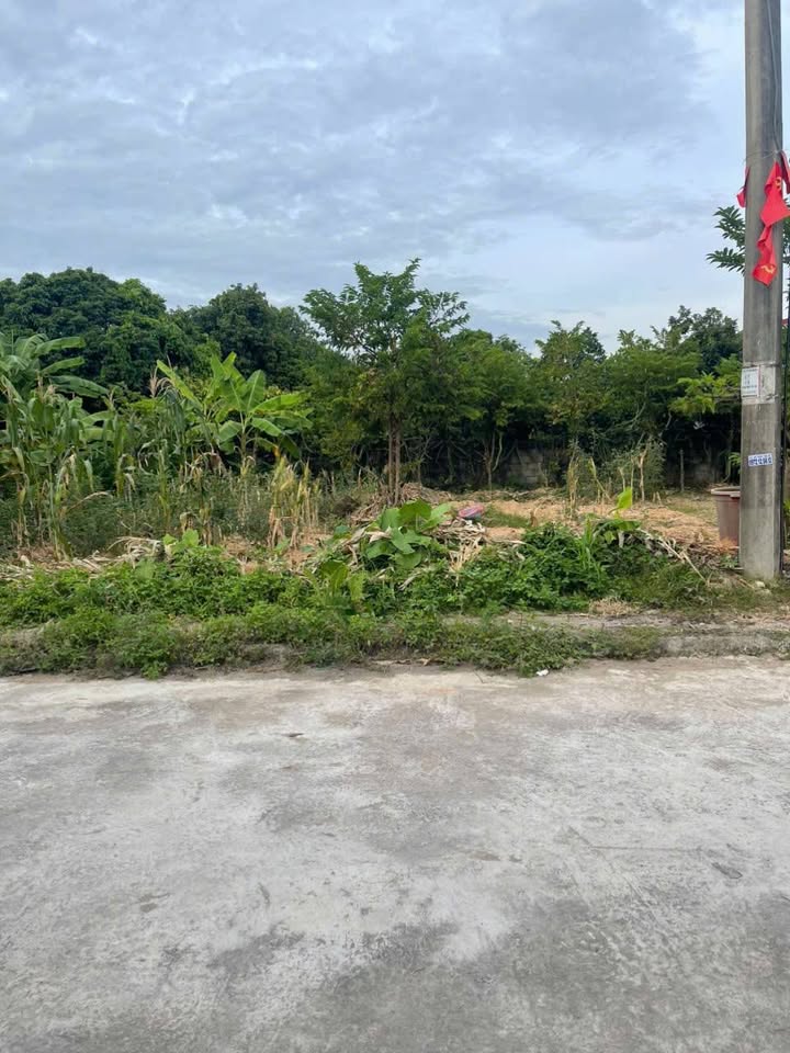 Đất thổ cư phường Quyết Thắng 76m² giá 1 tỷ - Mặt tiền 6m đường rộng 10m