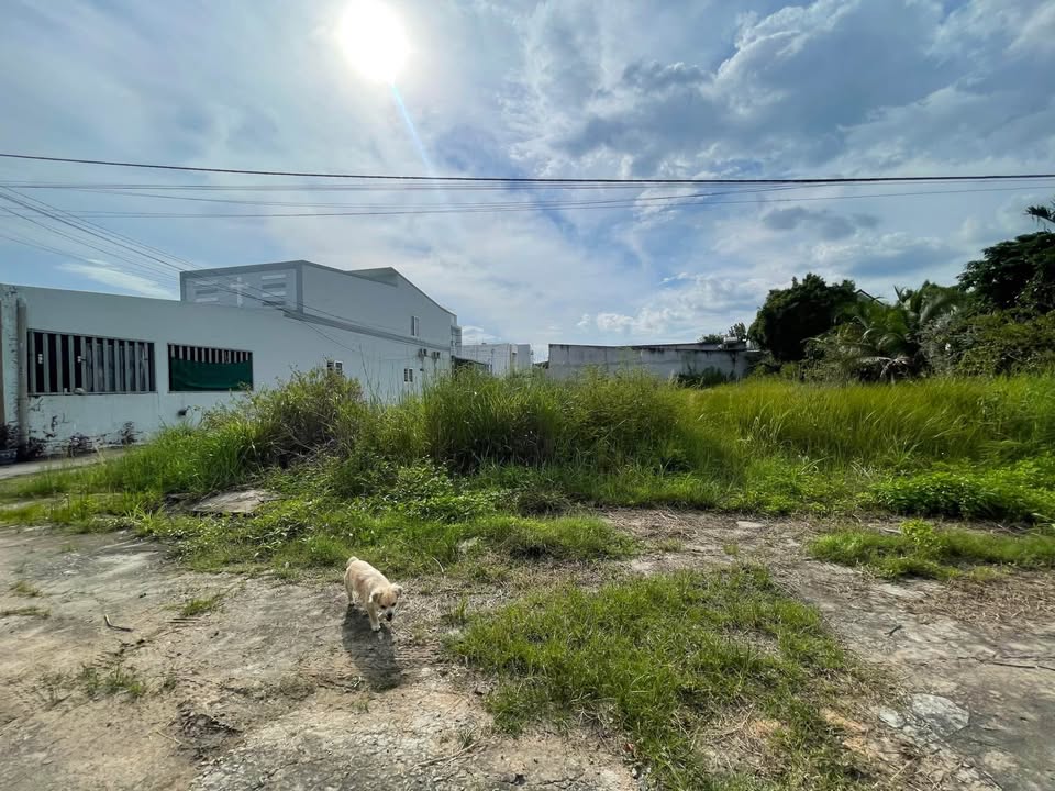 Đất thổ cư Phường Bình Thuận, Phan Thiết 111,9m² giá 1,05 tỷ - Cơ hội đầu tư hấp dẫn!