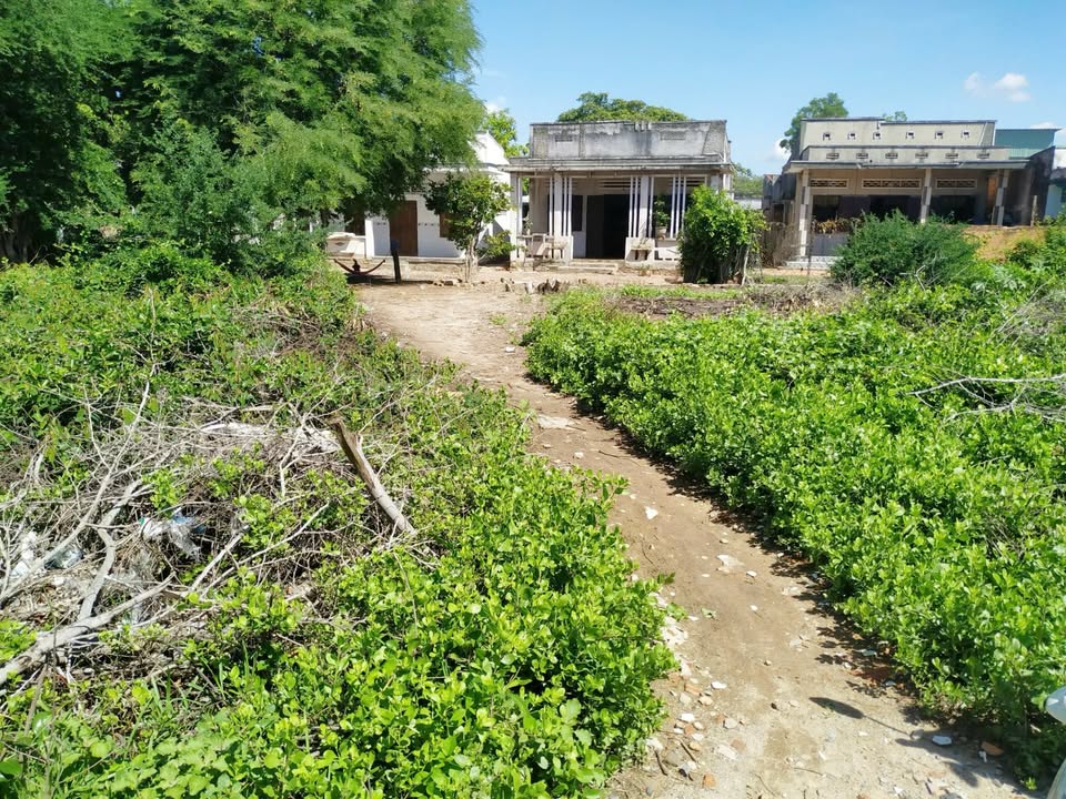 Lô Đất Thổ Cư 90m² Chính Chủ Phường Đức Long TP Phan Thiết - Giá Chỉ 980 Triệu