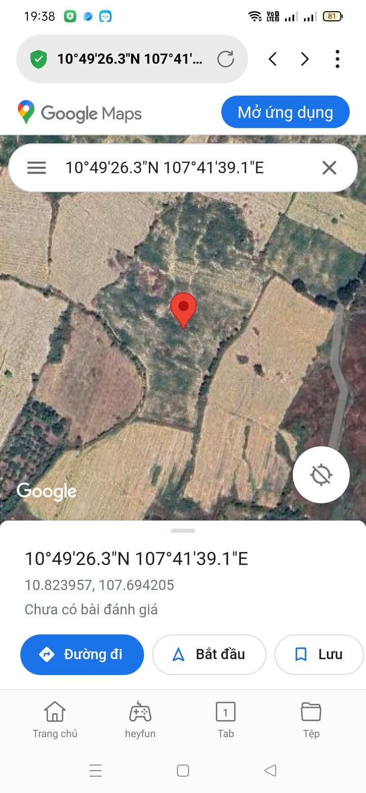 Đất nông nghiệp Tân Phúc, Hàm Tân 4,7ha giá chỉ 1,175 tỷ - Cơ hội đầu tư hấp dẫn!