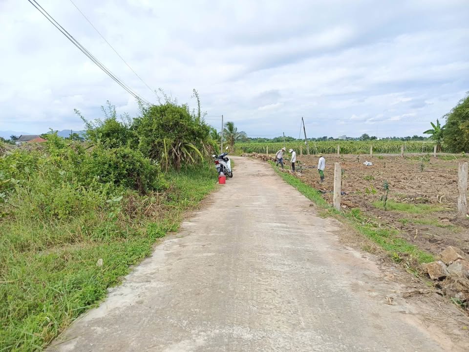 Đất nông nghiệp mặt tiền bê tông Thôn 5, Xã Hàm Liêm 1000m² giá 480 triệu - Cơ hội đầu tư hấp dẫn!