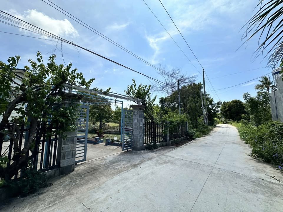 Đất cây trồng 1000m² xã Thiện Nghiệp, Phan Thiết chỉ 4.5 tỷ - Chính chủ bán gấp!