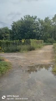 Đất thổ cư 100m² tại thôn Phú Điền, Hàm Phú - Giá chỉ 350 triệu!