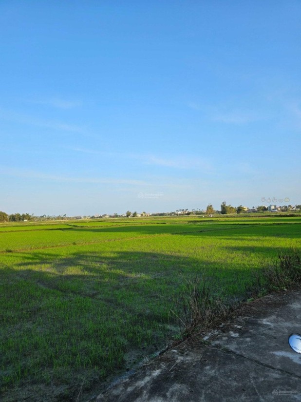 Đất nền Cẩm Thanh Hội An 415m² giá 12 tỷ - Không gian nghỉ dưỡng lý tưởng!