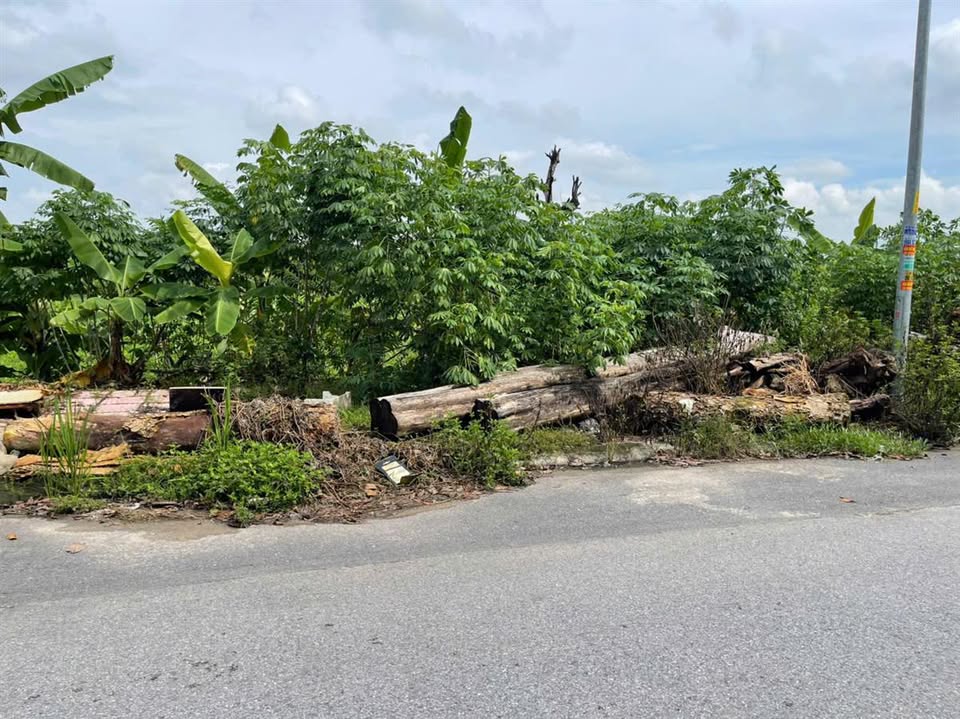 Lô đất dự án đẹp tại Liên Bão, Tiên Du 108m² giá chỉ 3.24 tỷ - Cơ hội đầu tư vàng!