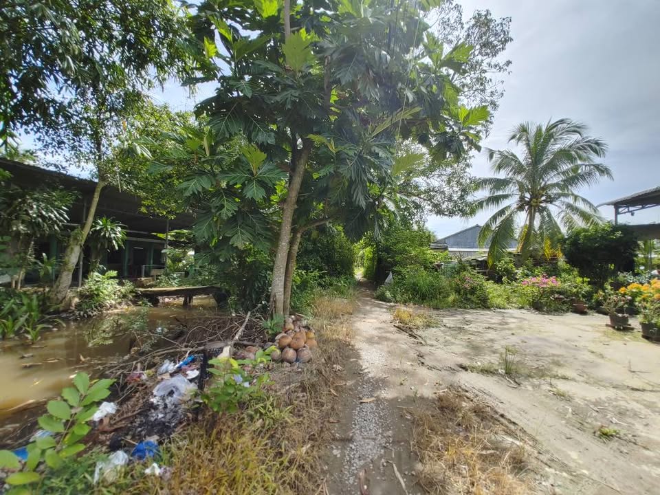 Đất thổ cư 335m² Thới An Đông, Bình Thủy, giá chỉ 1 tỷ - Cơ hội đầu tư tuyệt vời!