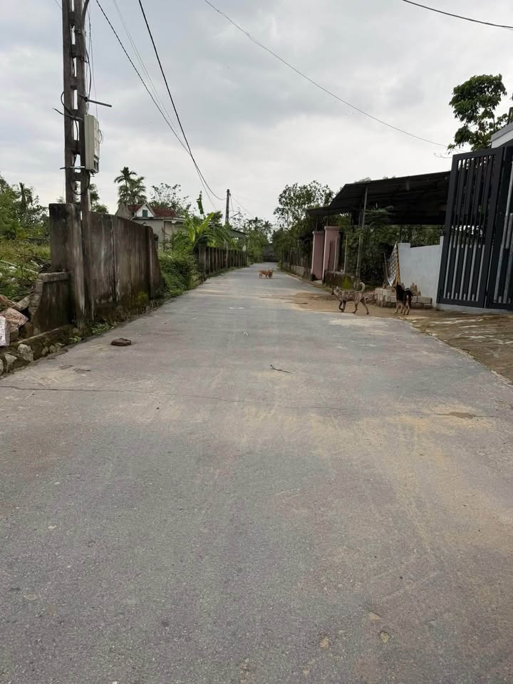 Đất nền Thạch Vĩnh 820m² giá thỏa thuận - Đường ô tô tránh nhau, gần trung tâm