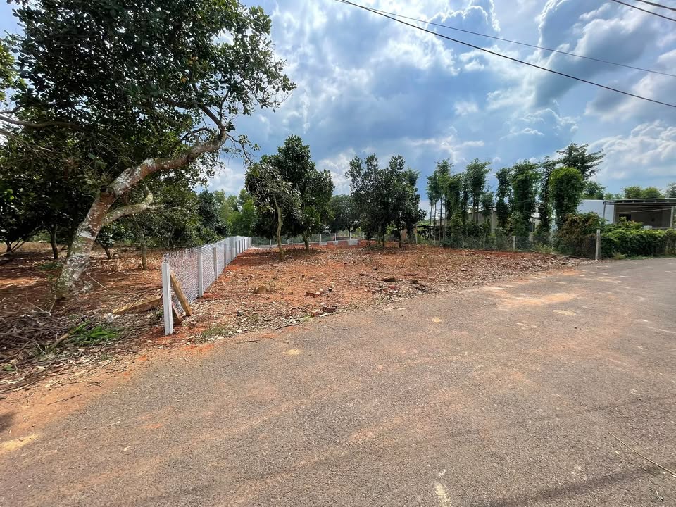 Đất Hòa Hội, Xuyên Mộc 640m² giá 1.55 tỷ - Đầu tư sinh lời ngay!