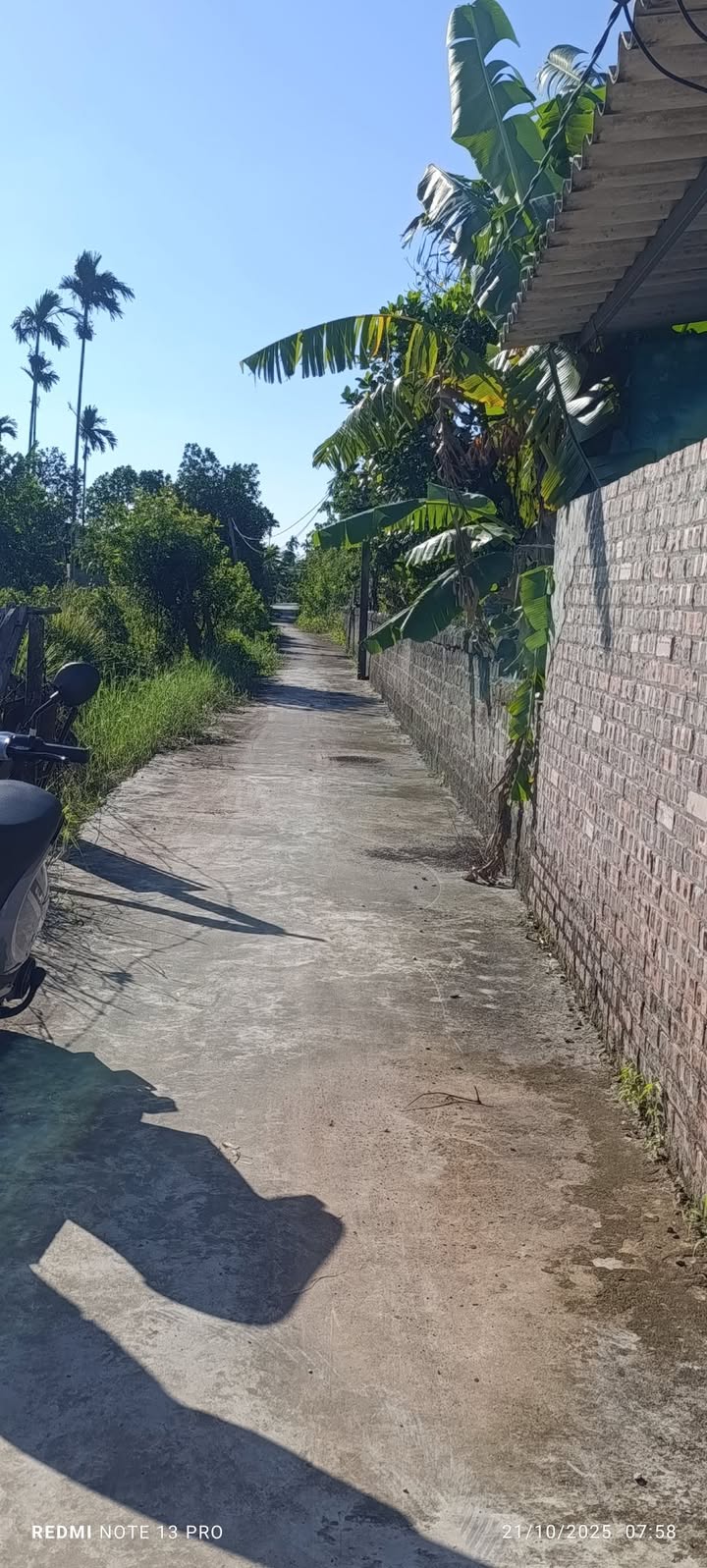 Đất vườn Cẩm Chế, Thanh Hà 1080m² giá 1.116 tỷ - Chính chủ bán gấp!