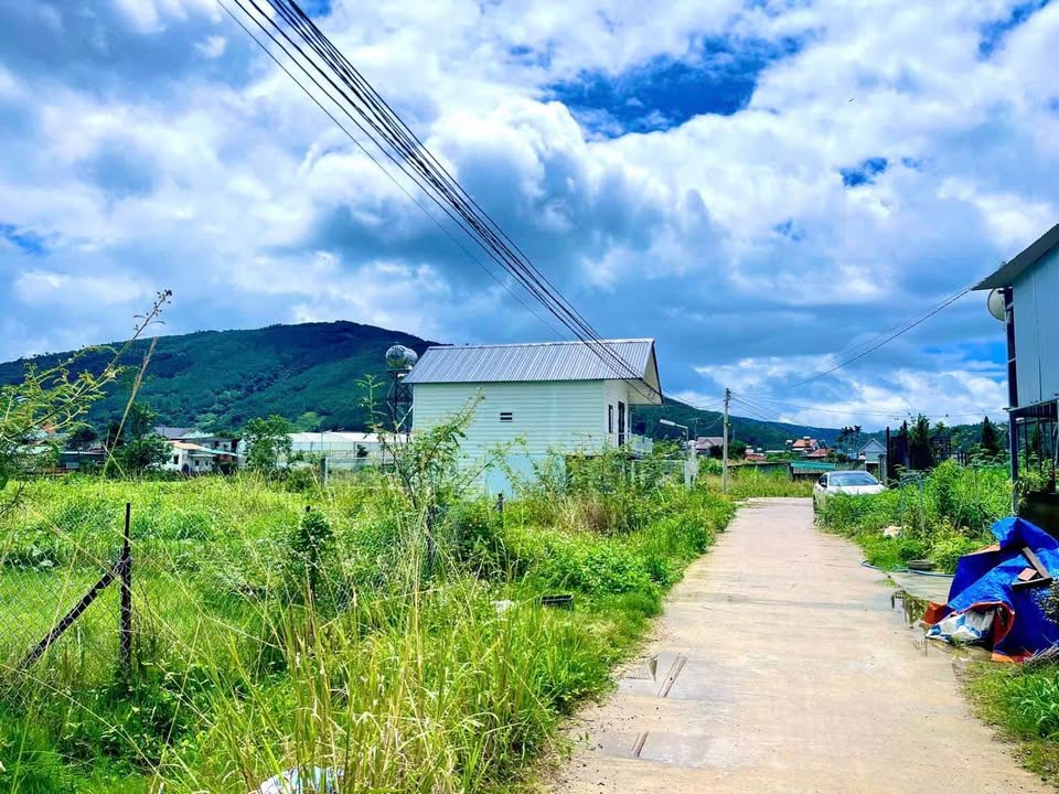 Đất thổ cư Hiệp An, Đức Trọng 102m² giá 1.15 tỷ - View rừng thông tuyệt đẹp!