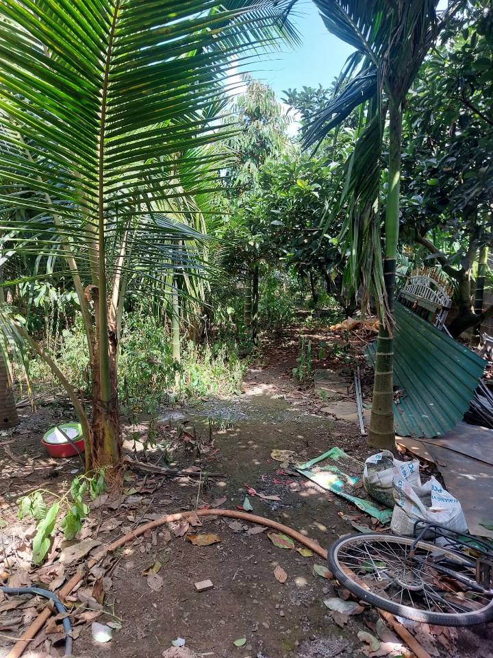 Đất nền Hồ Phượng, Tân Hội, Đức Trọng 3600m² giá 3.3 tỷ - Sổ đỏ chính chủ, có nhà kiên cố!