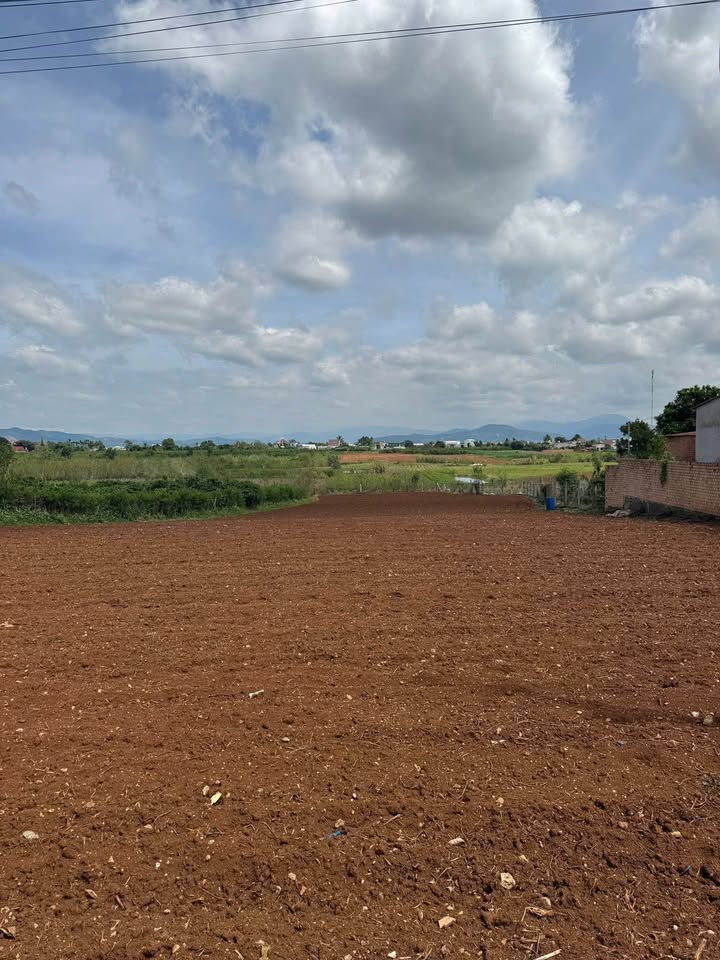 Đất nền Tân Hội, Đức Trọng 400m² giá chỉ 1.82 tỷ - Cơ hội đầu tư hiếm có!