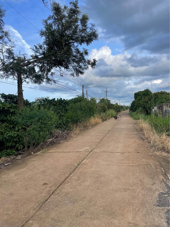 Đất nền tại đường Ba Cản Tân Hội 213m² giá 640 triệu - Khu dân cư sầm uất!