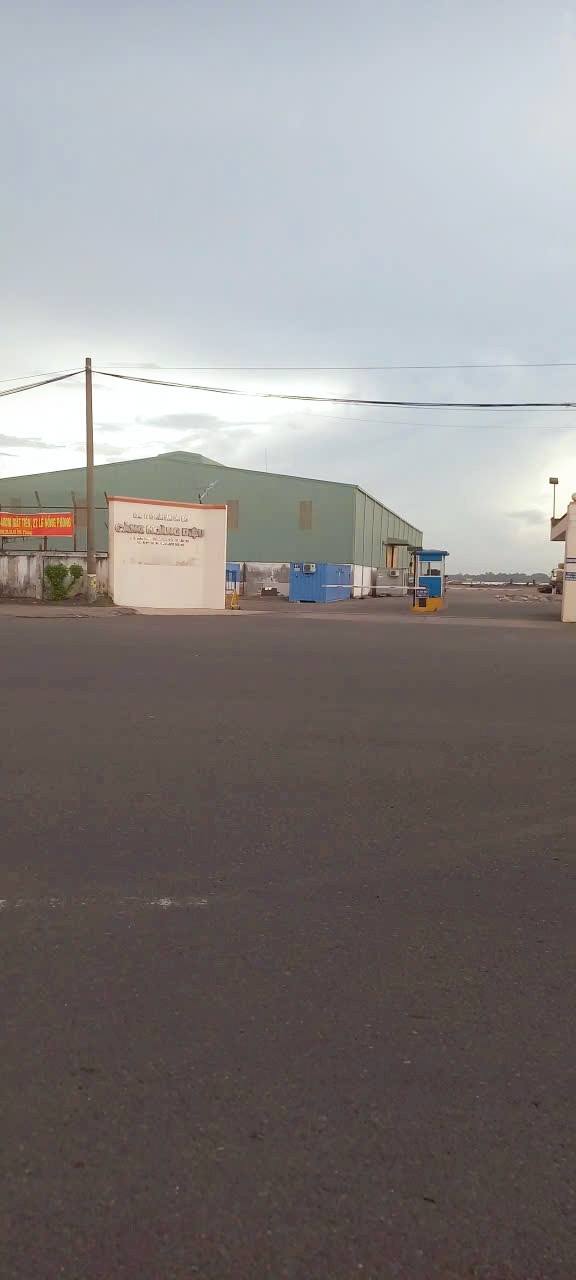 Nhà cấp 4 Hẻm 71, Trà An, Bình Thủy, Cần Thơ 84m² giá 1.55 tỷ - Vị trí an ninh, tiện ích đầy đủ!