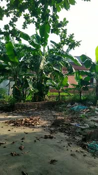 Đất nền xã Đông Thạnh, huyện 12, 305m² giá 8.3 tỷ - Cơ hội đầu tư hấp dẫn!