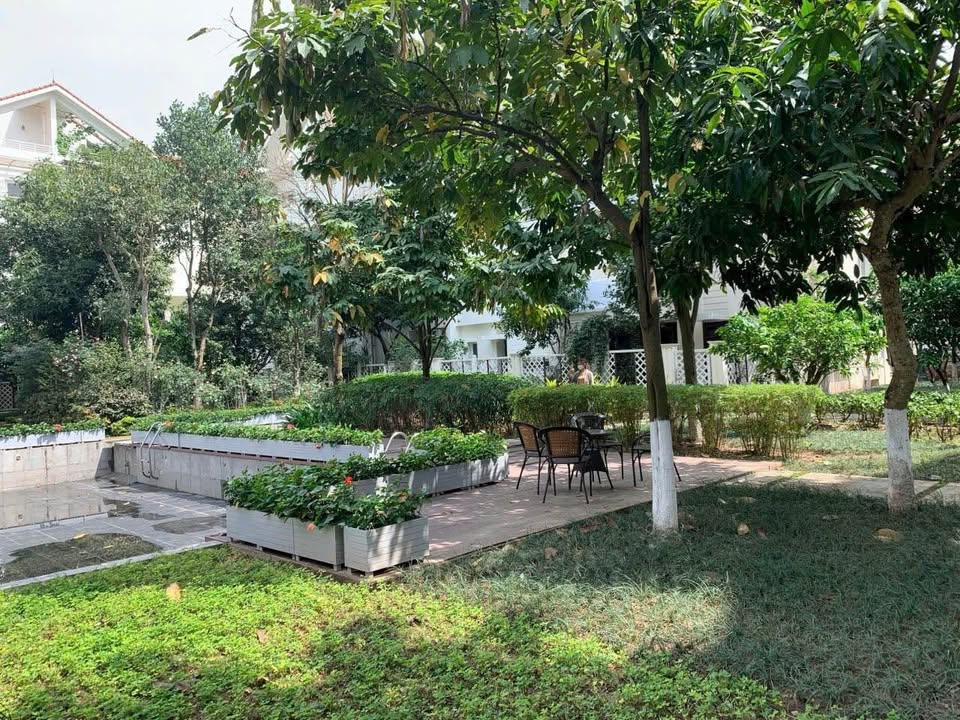 Nhà liền kề Splendora, An Khánh, 126m² giá 29.196 tỷ - Đầu tư sinh lời ngay!