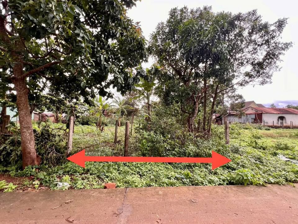 Đất nền Biển Hồ Pleiku 130m² giá 700 triệu - Đầu tư sinh lời hấp dẫn!