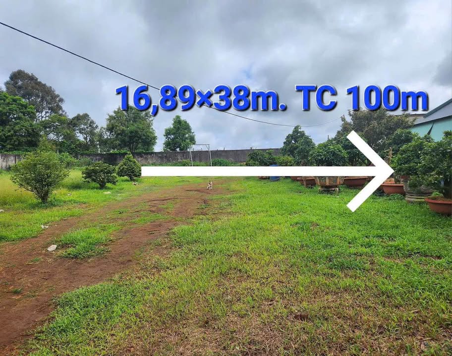 Đất mặt tiền Nguyễn Kiệm, phường Thống Nhất, Gia Lai 642m² - Giá cực tốt chỉ 3.133 tỷ!