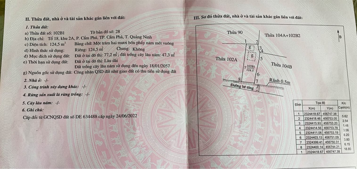 Đất chính chủ Cẩm Phả 124,5m² - Đầu tư lâu dài, sổ đỏ riêng!