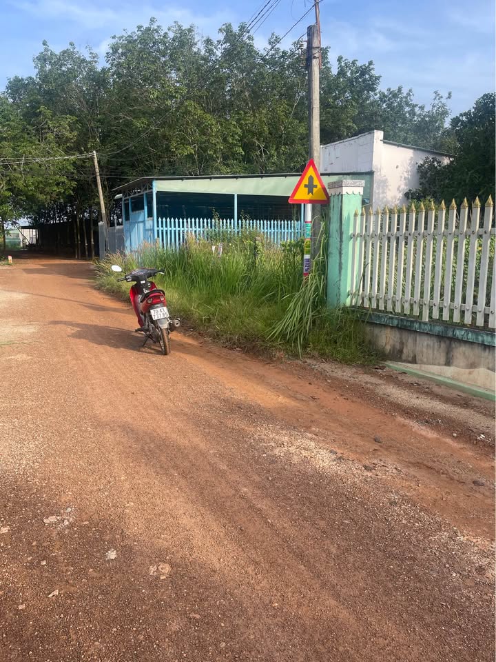 Đất thổ cư Tân Hiệp - Tân Châu 288m² giá 360 triệu - Cơ hội đầu tư tuyệt vời!