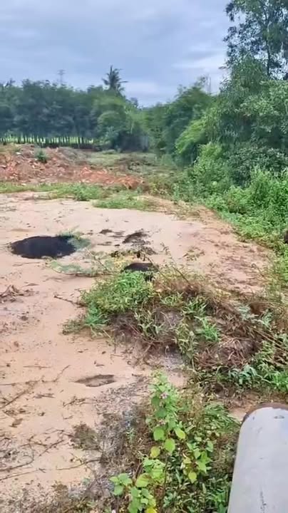 Đất 2 mặt tiền kinh doanh 910m² tại Ấp Cầu Xe, Tây Ninh - Cơ hội đầu tư sinh lời!