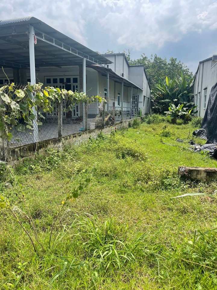 Đất mặt tiền nhựa Phước Thạnh, Gò Dầu 300m² giá chỉ 2.1 tỷ - Đầu tư sinh lời bền vững!