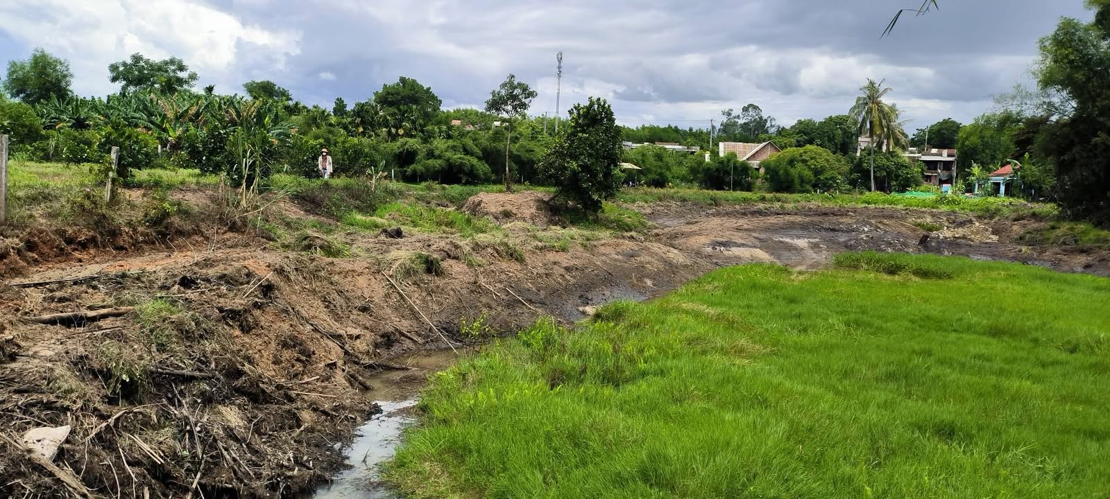 Farm Hòa Phong 9000m² giá 2 tỷ - Cơ hội đầu tư hiếm có!