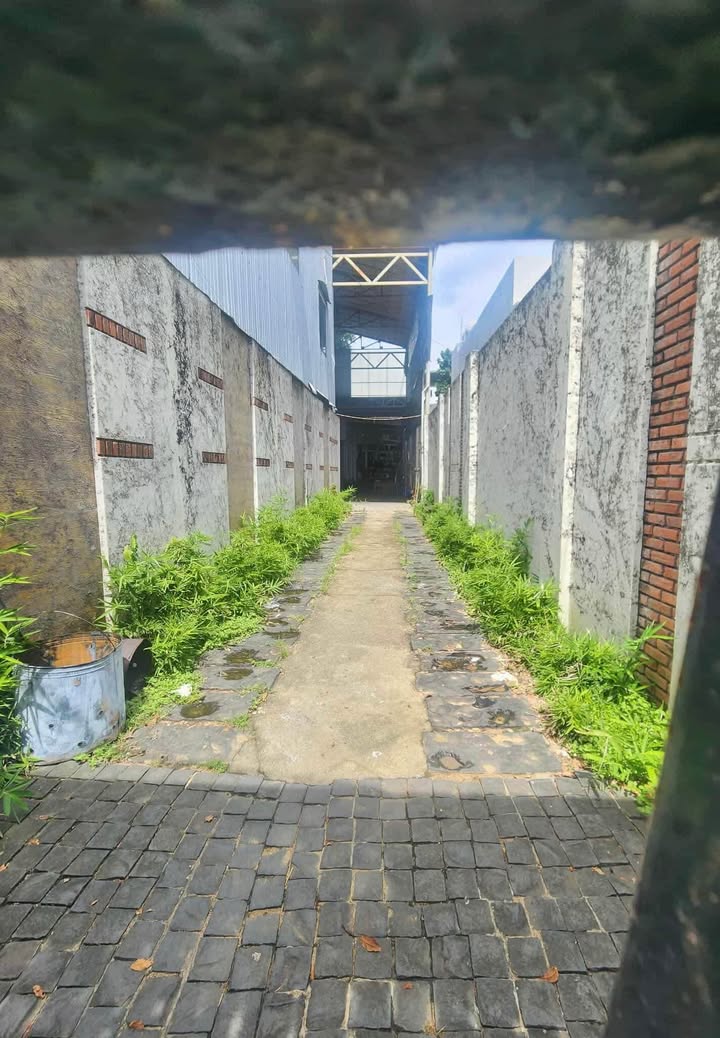 Đất nền 367m² đường 2/9 quận Hải Châu - Đầu tư sinh lời 16.5 tỷ