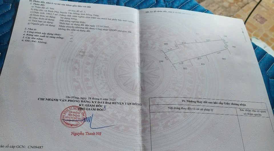 Đất nền Bình Phú, Tân Hồng 9015m² giá 200 triệu - Chính chủ cần bán gấp!