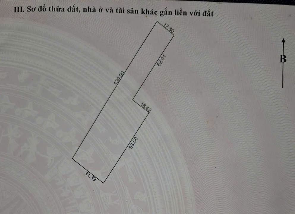Farm đất vườn 3000m² tại Tân Thuận Tây, Đồng Tháp - Cơ hội đầu tư hấp dẫn!