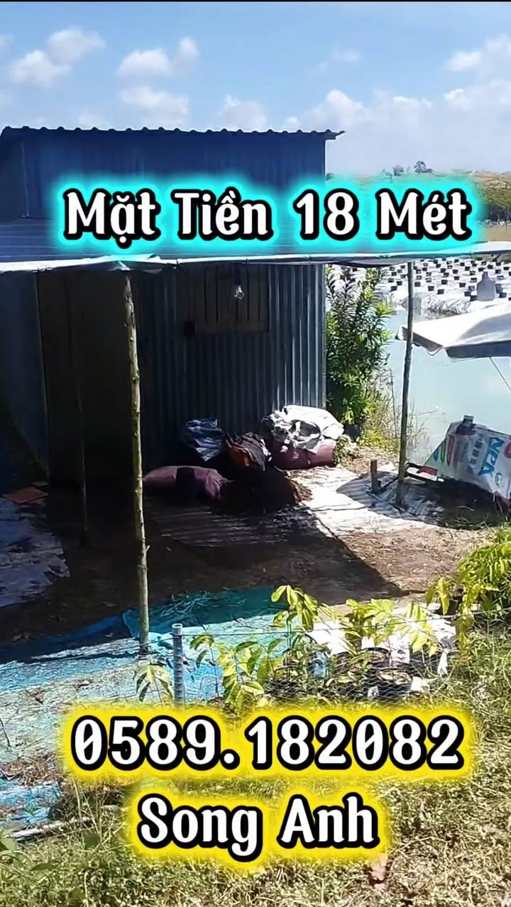 Đất nền Tân Dương 20.000m² giá 800 triệu - Đường lớn, gần kênh thủy lợi!