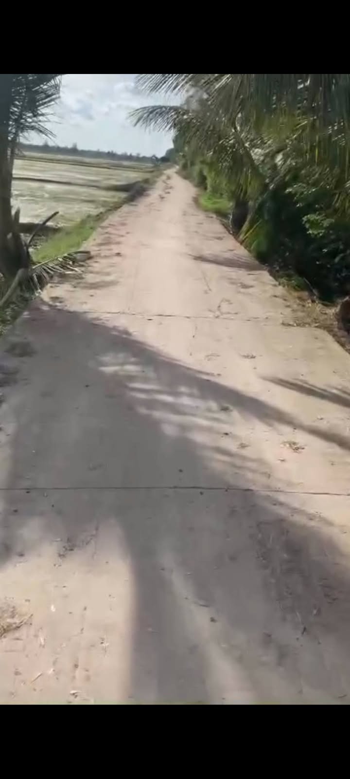 Đất nền Mỹ Đông, Tháp Mười 2000m² giá 500 triệu - Mặt tiền 30m thuận lợi!