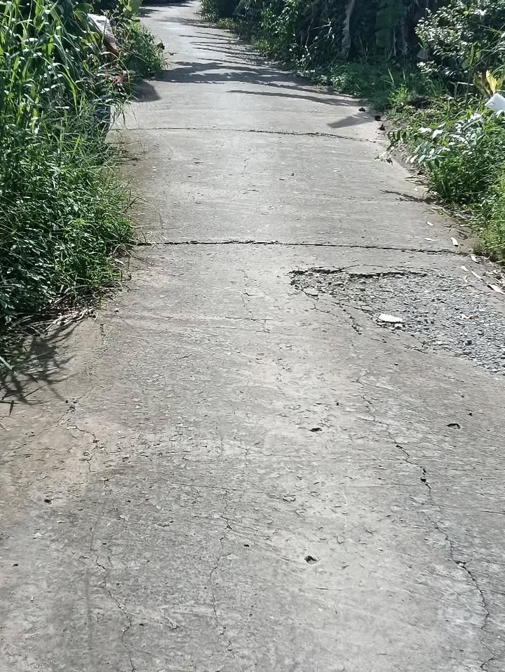 Đất nền bán gấp xã Mỹ Thọ, Cao Lãnh 230m² giá 900 triệu - Vị trí đắc địa!