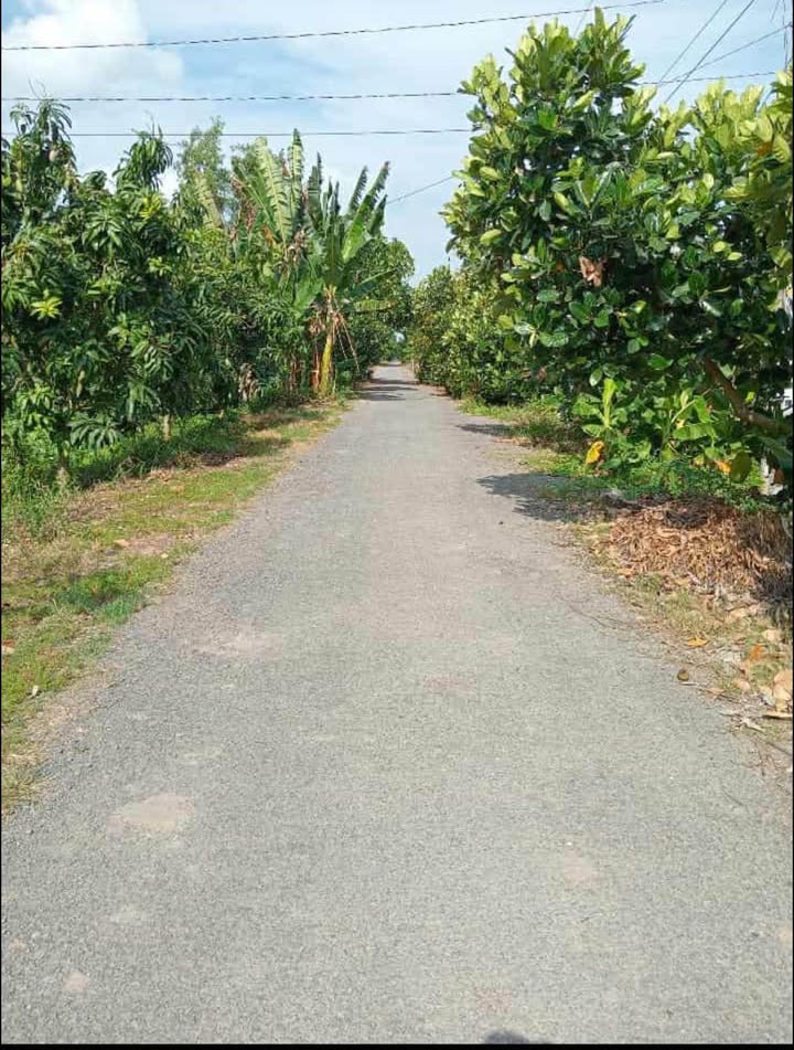 Đất thổ cư 340m² tại Mỹ Quí, Tháp Mười - Giá chỉ 850 triệu, tiện ích đầy đủ!